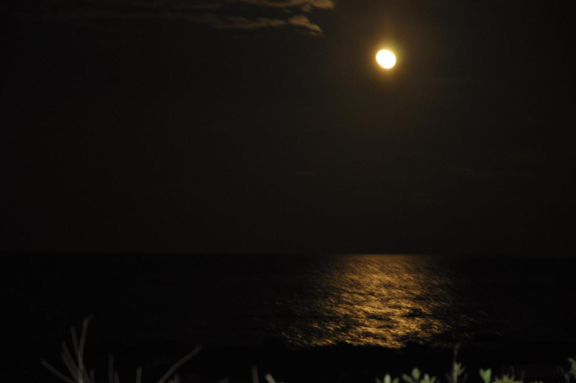 Panorama Vue Mer กีเบอรง ภายนอก รูปภาพ