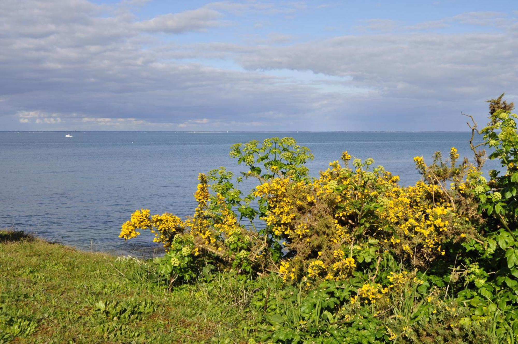 Panorama Vue Mer กีเบอรง ห้อง รูปภาพ